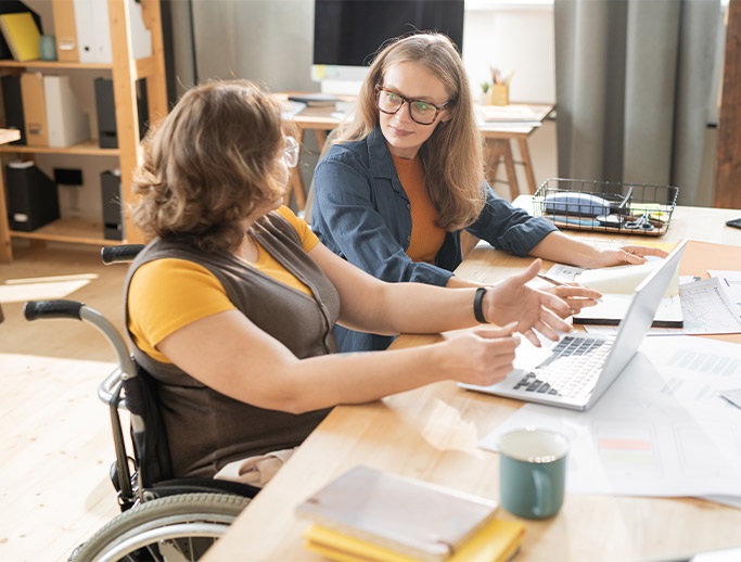 Header supported employment overview
